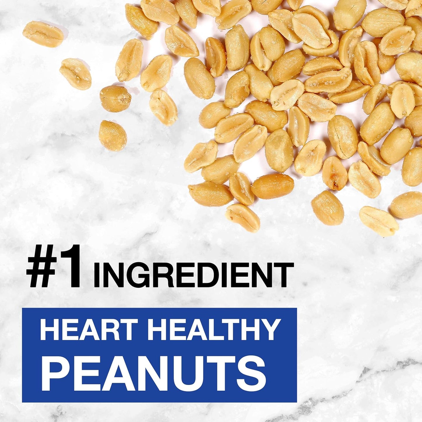 KIND_Protein_Bars,_Dark_Chocolate_Nut,_Gluten_Free,_Healthy_Snacks,_12g_Protein,_12_Count
