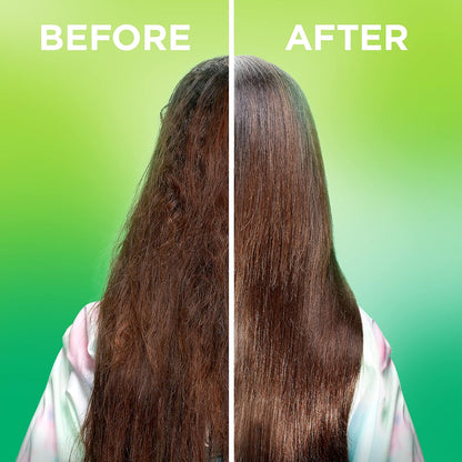 Garnier_Fructis_Sleek_&_Shine_Leave-In_Conditioning_Cream_for_Frizzy,_Dry_Hair,_Plant_Keratin_+_Argan_Oil,_10.2_Fl_Oz,_1_Count_(Packaging_May_Vary)