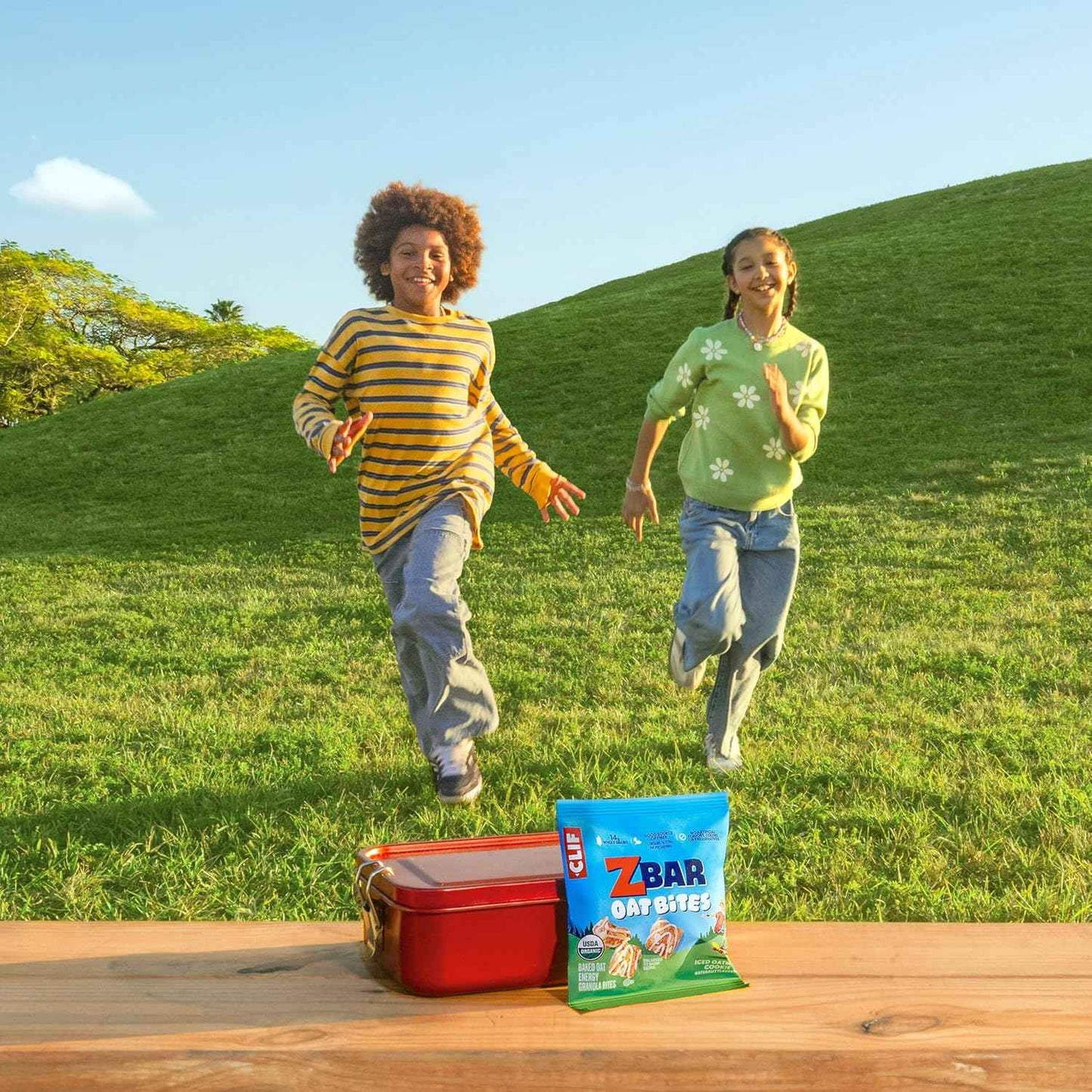 Zbar Oat Bites - Baked Oat Energy Granola Bites - USDA Organic Snacks for Kids - 14g Whole Grains (6 Snack Packs)