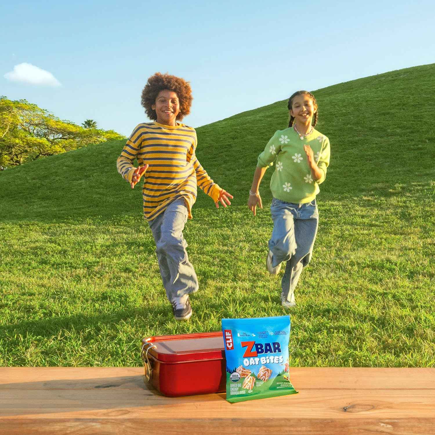 Zbar Oat Bites - Baked Oat Energy Granola Bites - USDA Organic Snacks for Kids - 14g Whole Grains (6 Snack Packs)