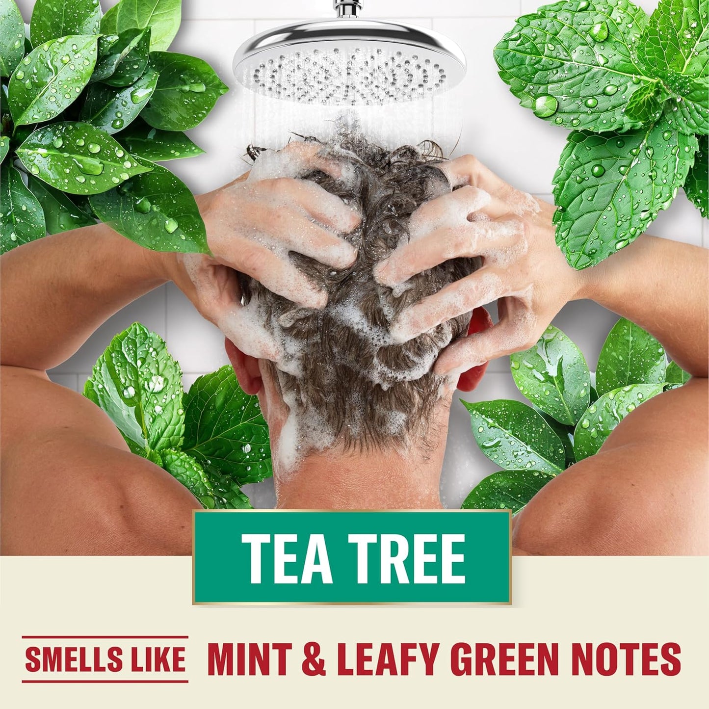 Old_Spice_Mens_Tea_Tree_Shampoo,_For_All_Hair_Types,_Healthier,_Fuller,_More_Moisturized_Looking_Hair,_21.9_fl_oz_Each,_Twin_Pack