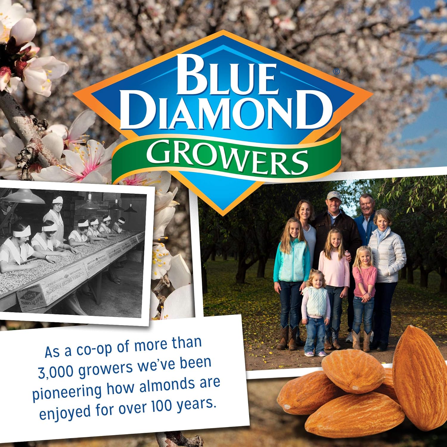 Blue_Diamond_Almonds_Wasabi_&_Soy_Sauce_Flavored_Snack_Nuts,_16_Oz_Resealable_Bag_(Pack_of_1)