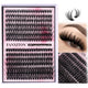 Lash Clusters-40D+50D