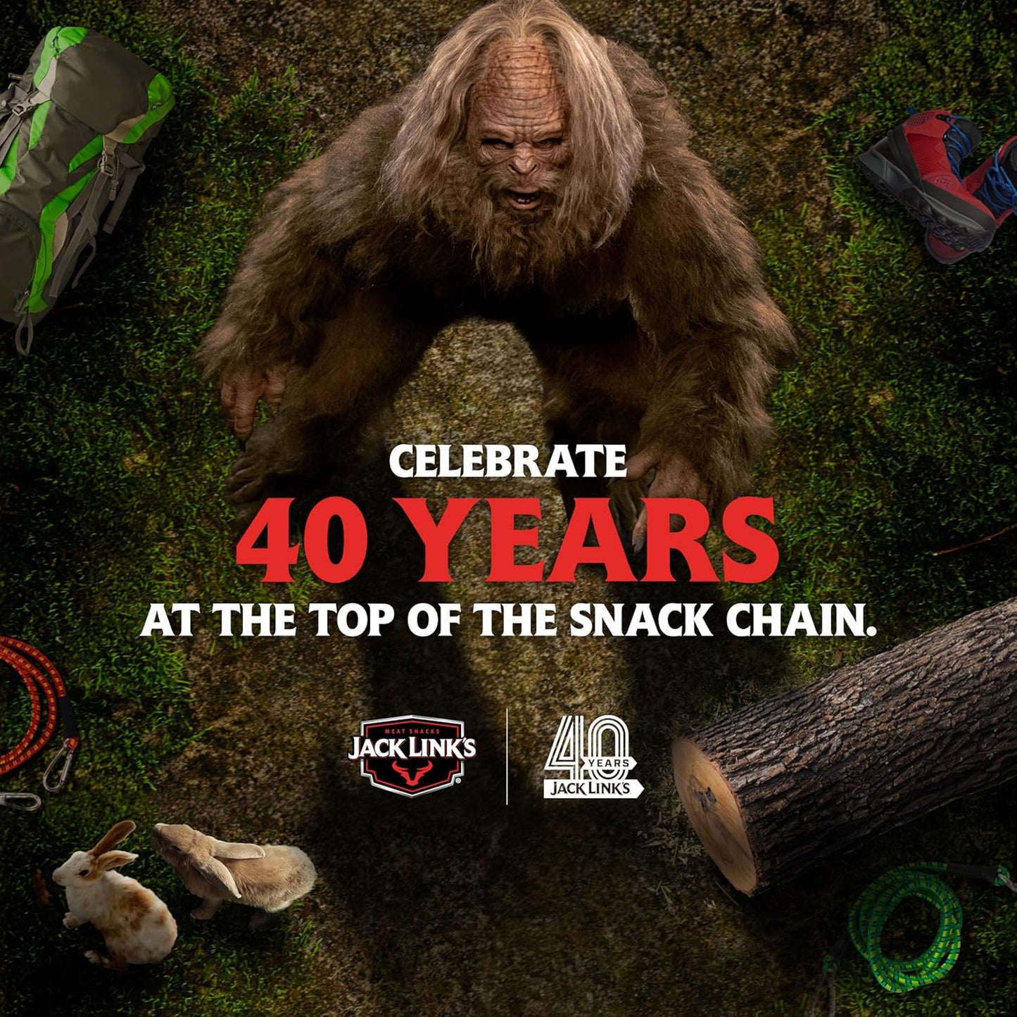 Jack_Link's_Beef_Jerky_Variety_Pack_Gift_Basket_-_15_Pack_-_Assorted_Jerky,_Steaks,_and_Meat_Sticks_-_Ready_to_Eat_Protein_Snacks_-_Made_with_100%_Real_Beef_-_Valentine's_Day_Gift_for_Him
