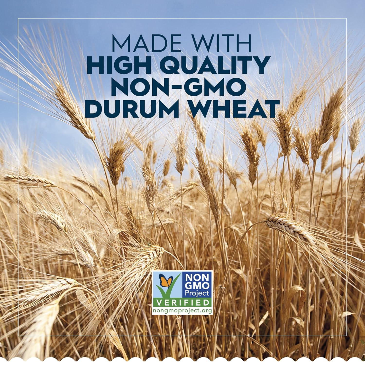 Barilla_Racing_Wheels_Pasta,_16_oz._Box,_Racing_Edition_Non-GMO_Pasta,_Made_with_Durum_Wheat_Semolina,_Kosher_Certified