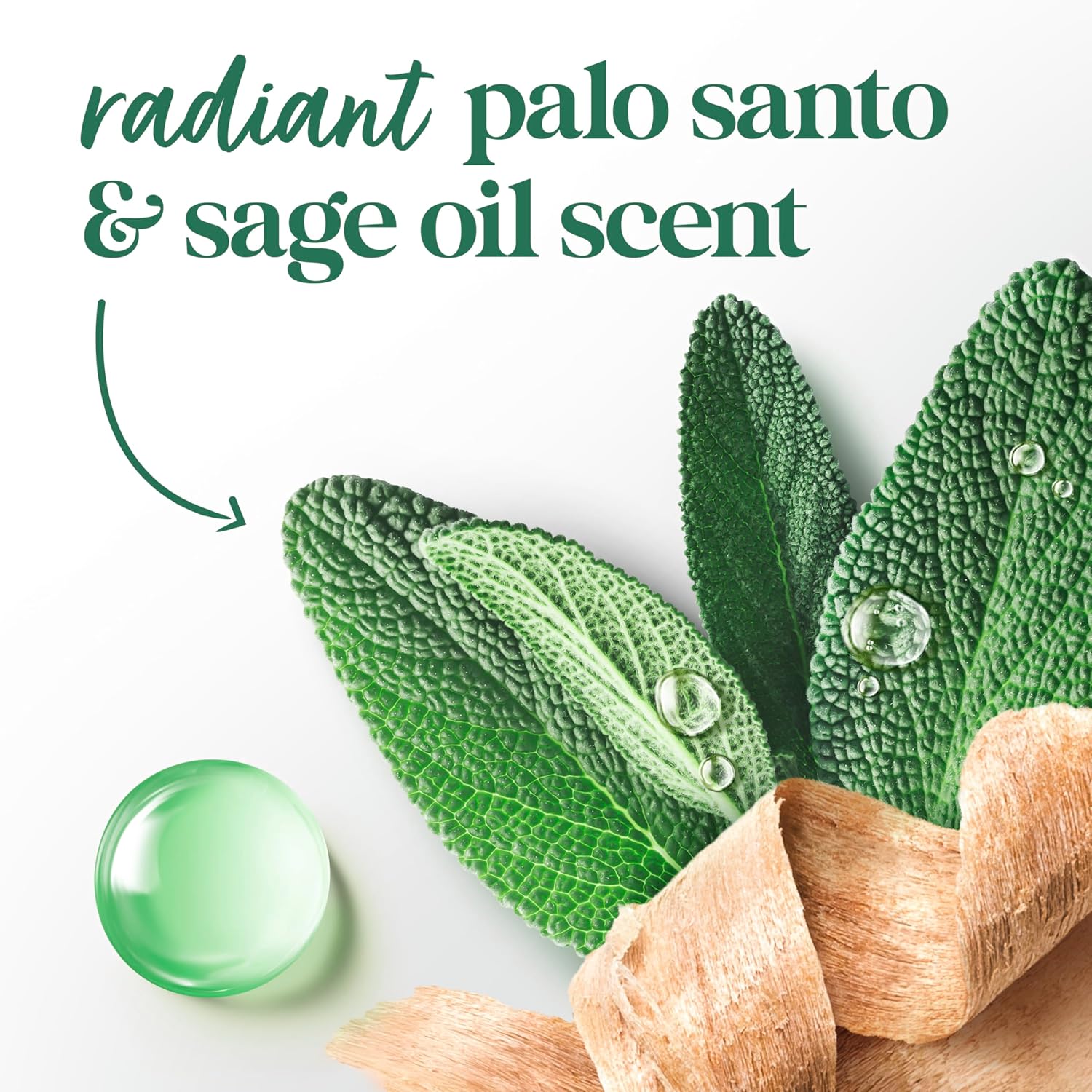 Dove_Dry_Spray_Palo_Santo_&_Sage_for_72-hour_sweat_and_odor_protection_Alcohol_Free_3.8_oz