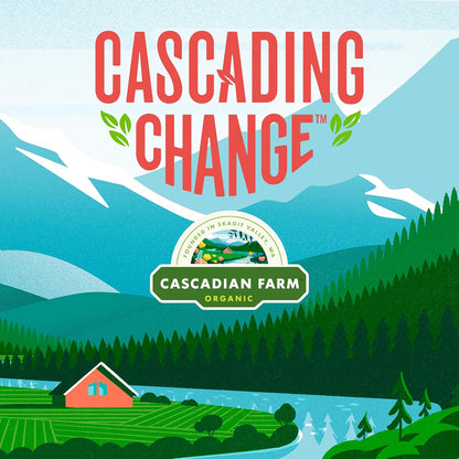 Cascadian_Farm_Organic_Vanilla_Chip_Chewy_Granola_Bars,_Value_Size,_10_Bars,_12.3_oz.