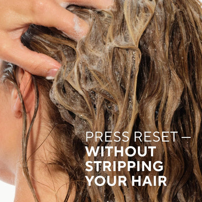 Native_Volumizing_Shampoo_Berries_&_Vanilla_Cream_16.5_fl_Oz.