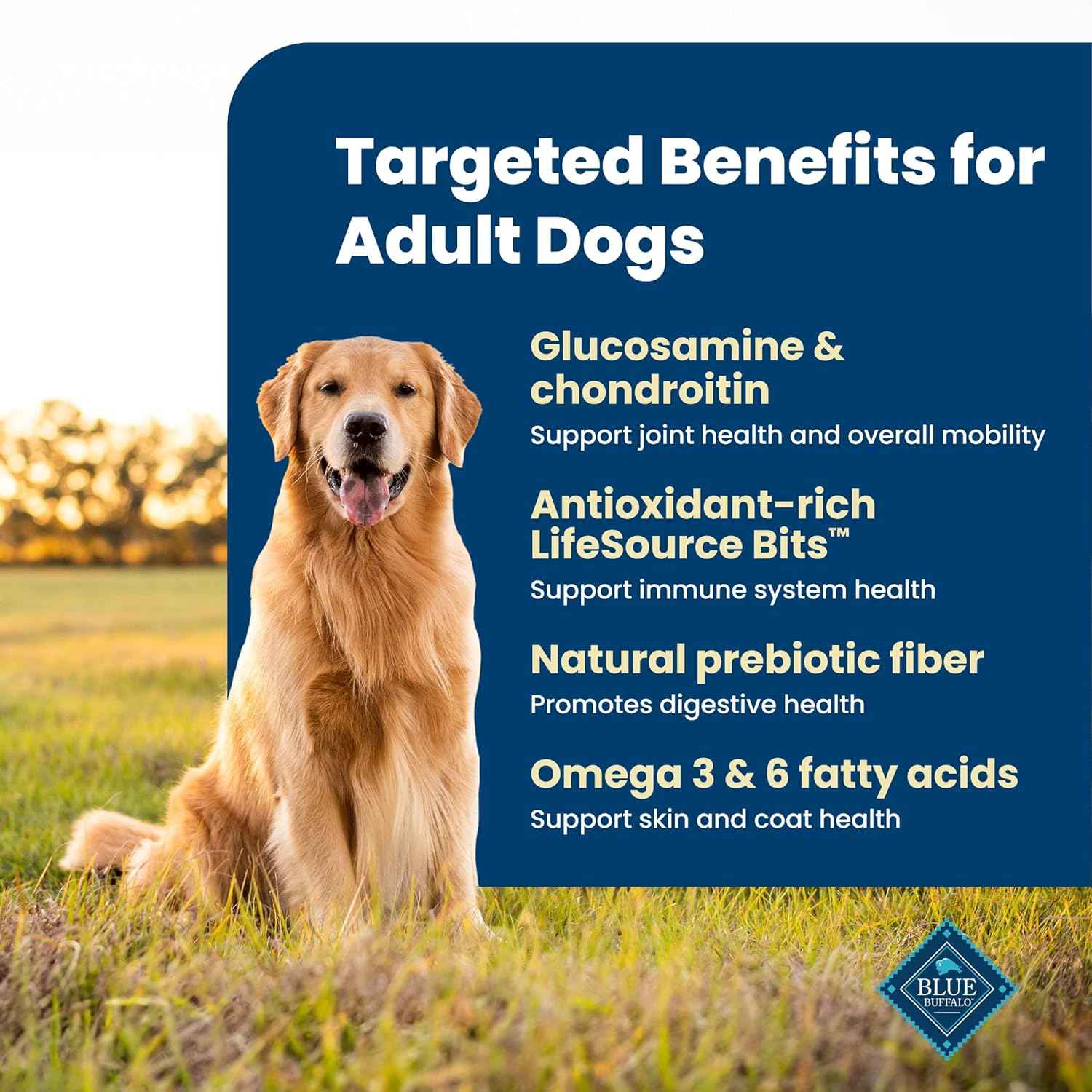 Blue Buffalo Life Protection Chicken & Brown Rice Adult Dog Food – Premium Dog Birthday Gift Basket Staple, 15 lb