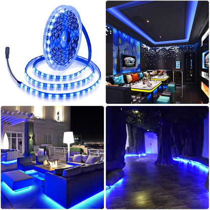 ALITOVE 12V Low-Voltage Blue LED Strip Light Safe Around Kids and Pets, 16.4ft IP65 Touchable Glow