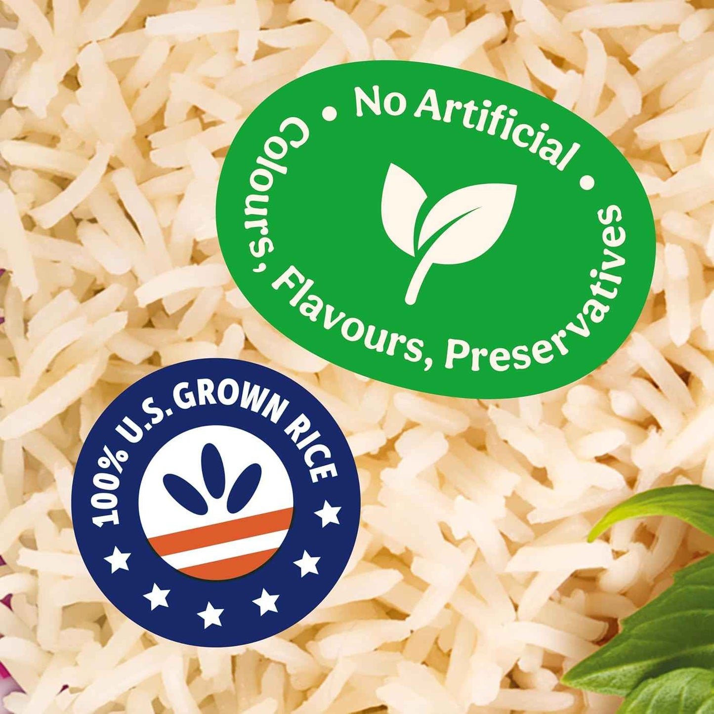 BEN'S ORIGINAL Ready Rice Jasmine Rice — Quick Office Lunch Carb Base for Meal-Prep Professionals
