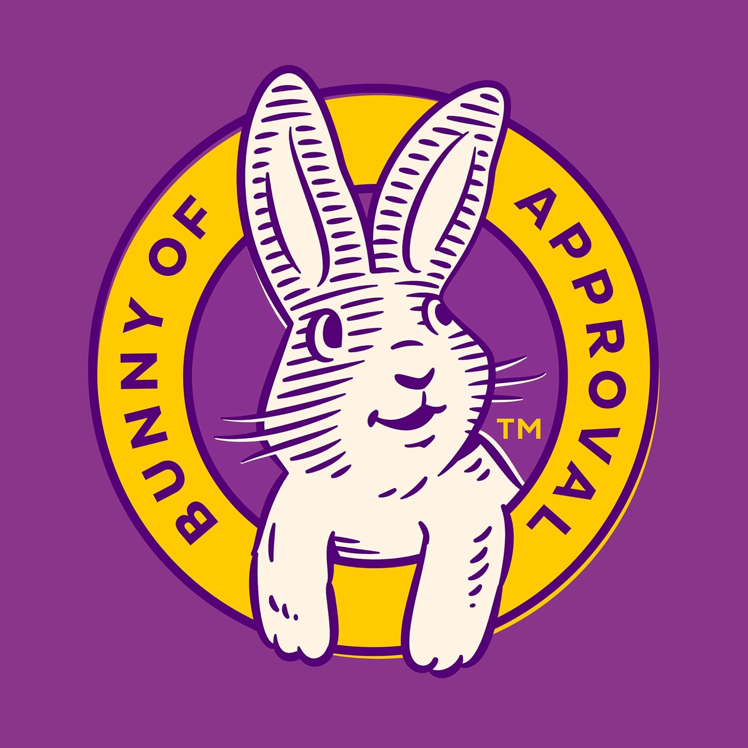 Annie's Organic Bunny Fruit Snacks – Trunk-or-Treat Allergy-Friendly Treat for Outdoor Fall Events, 22 ct