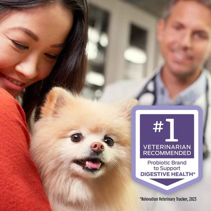 Purina Pro Plan FortiFlora Probiotic Powder for Dogs – Daily Digestive Wellness Ritual for Sensitive Stomachs