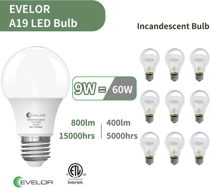 LUXRITE A19 LED Bulb Shatter-Resistant – Safer Lighting for Homes with Kids and Pets, 9W 5000K Daylight 4-Pack
