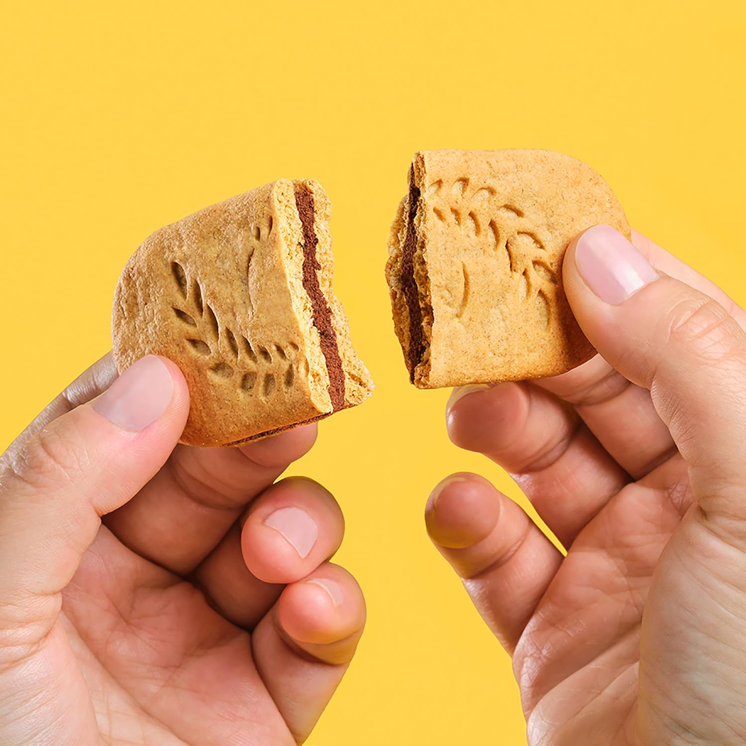 belVita Dark Chocolate Creme Sandwiches – Commute-Friendly Steady Energy for Busy Workdays, 12-Pack Value Box