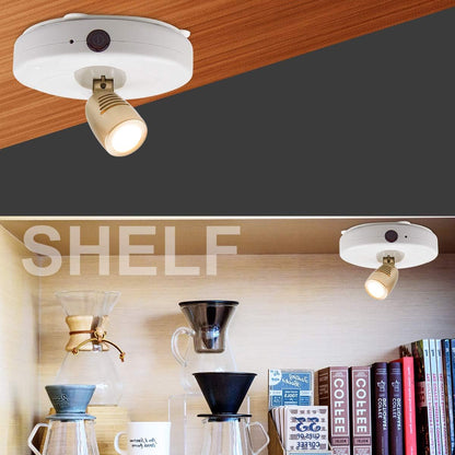 BIGLIGHT Battery Spotlight – Child and Pet-Safe Accent Light for Bedrooms, No Heat and No Open Flame
