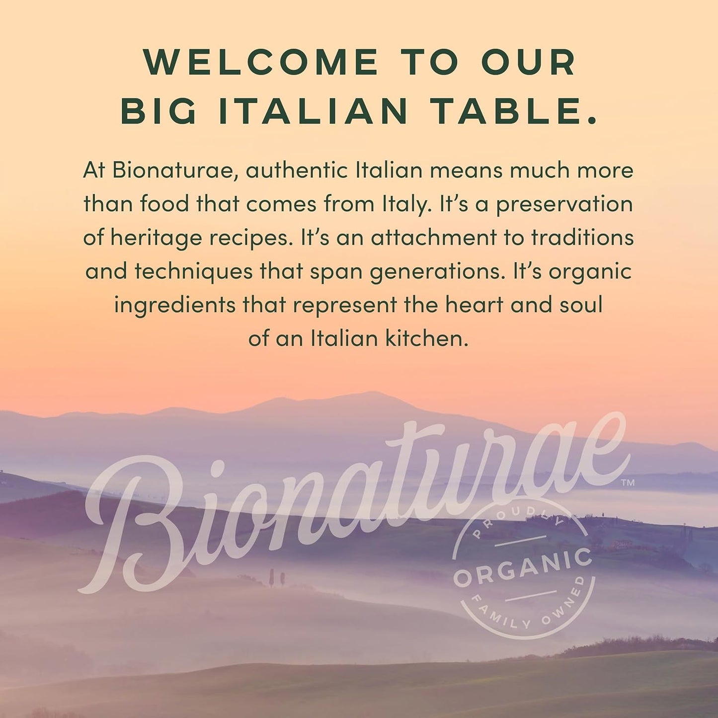 Bionaturae Organic Tomato Paste - No Added Sugar Keto Friendly Pantry Essential for Low Sodium Whole Food Cooking, 7 Oz