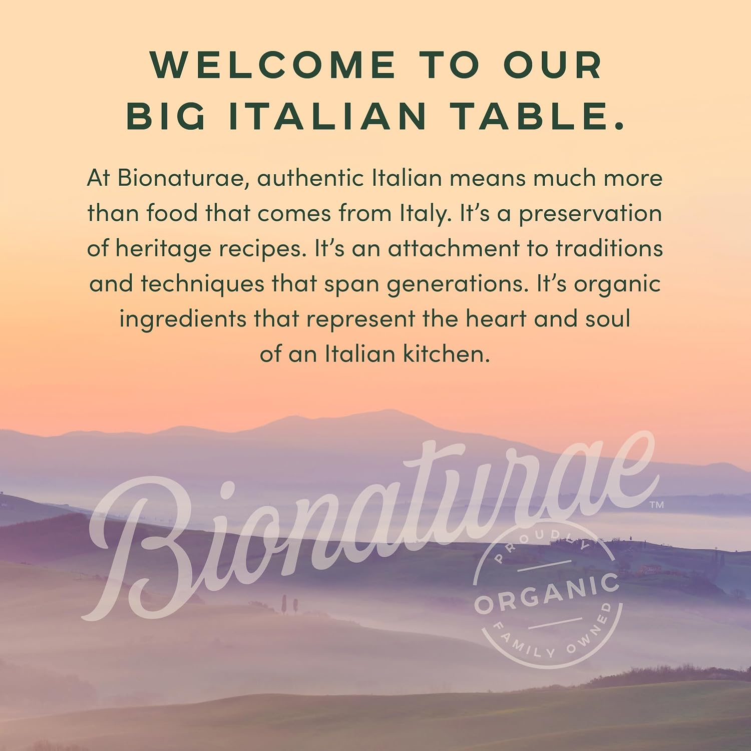 Bionaturae Organic Tomato Paste - No Added Sugar Keto Friendly Pantry Essential for Low Sodium Whole Food Cooking, 7 Oz