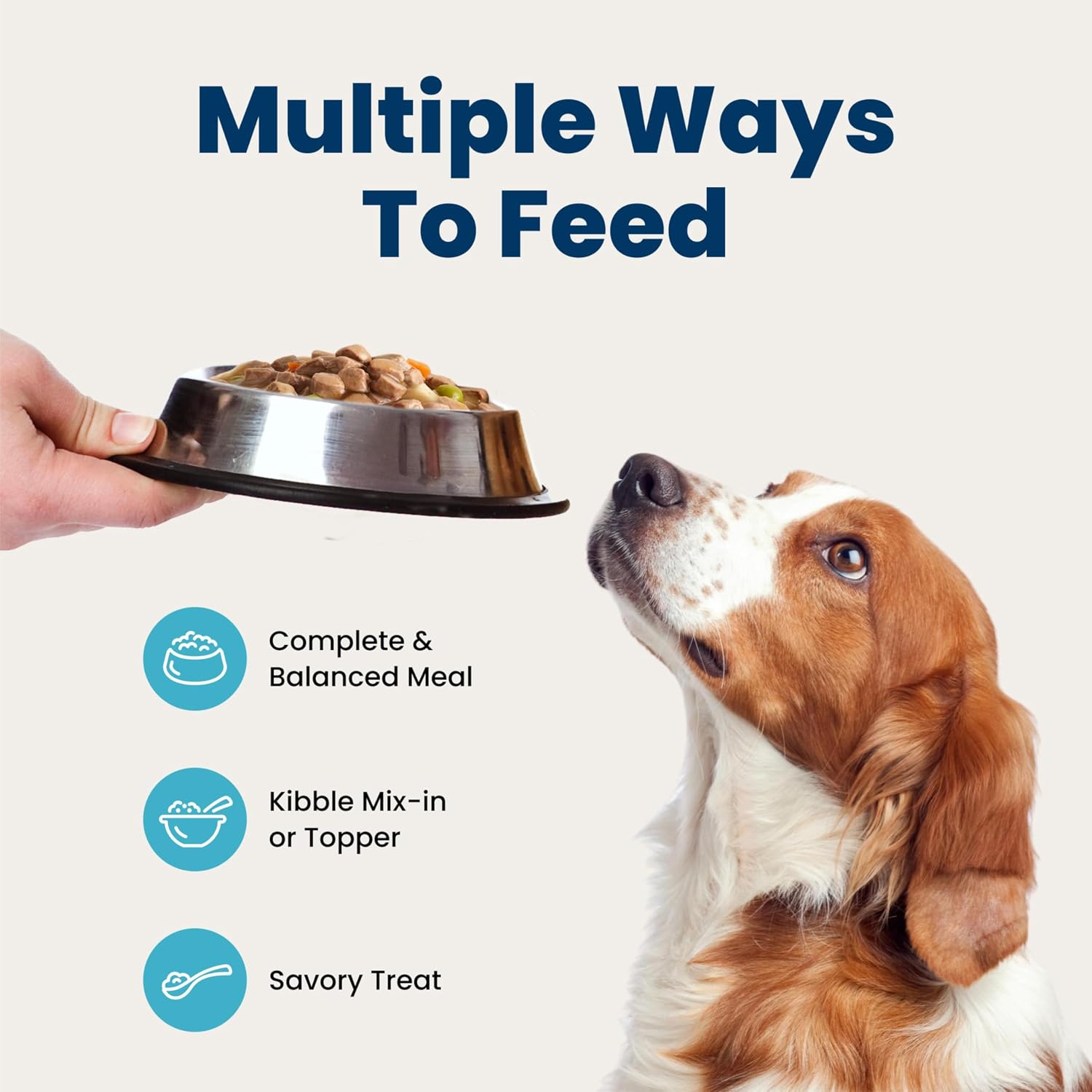 Blue Buffalo Blue's Stew Variety Pack, Thoughtful Holiday Present for the Dog Parent Who Has Everything