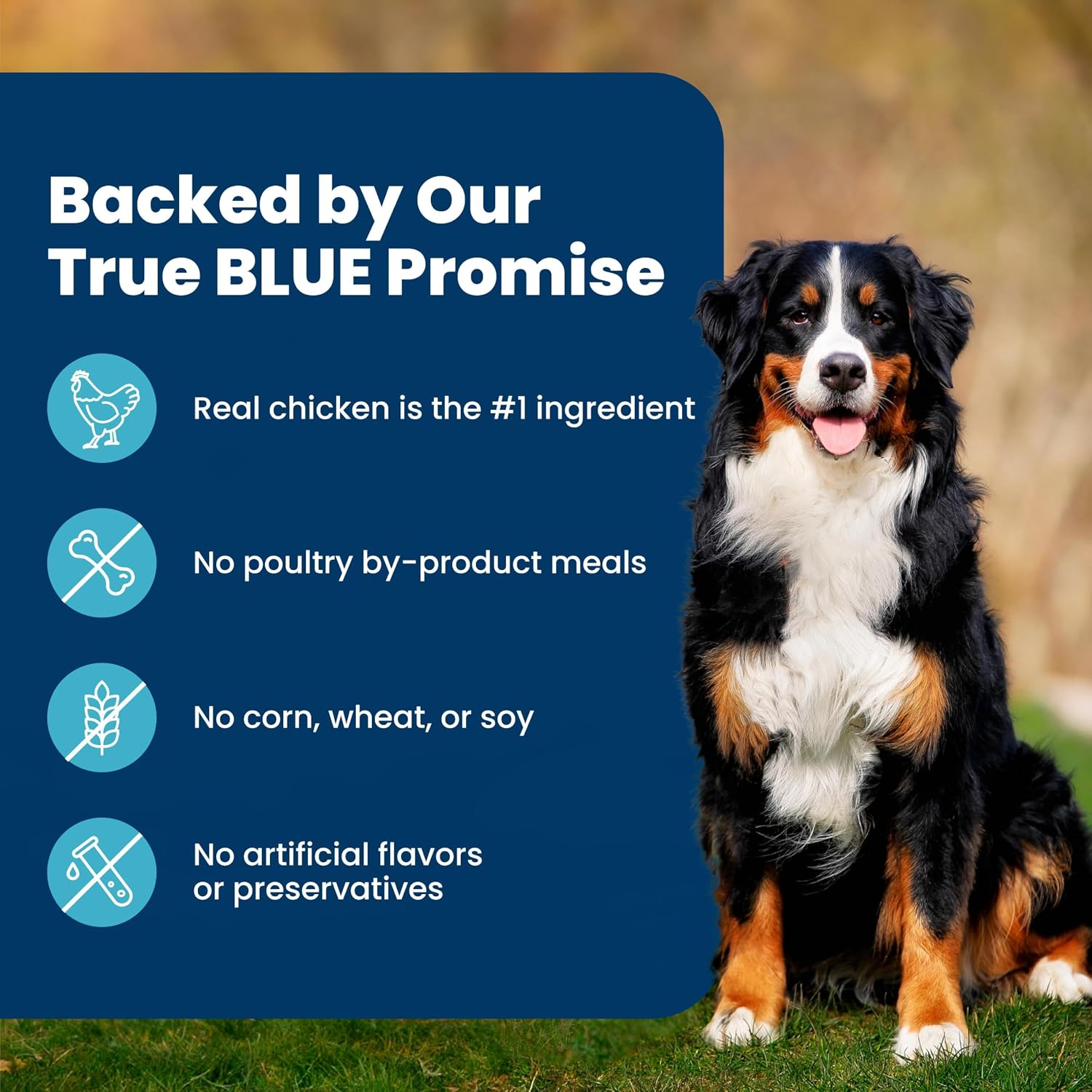 Blue Buffalo Life Protection Chicken & Brown Rice Adult Dog Food – Premium Dog Birthday Gift Basket Staple, 15 lb
