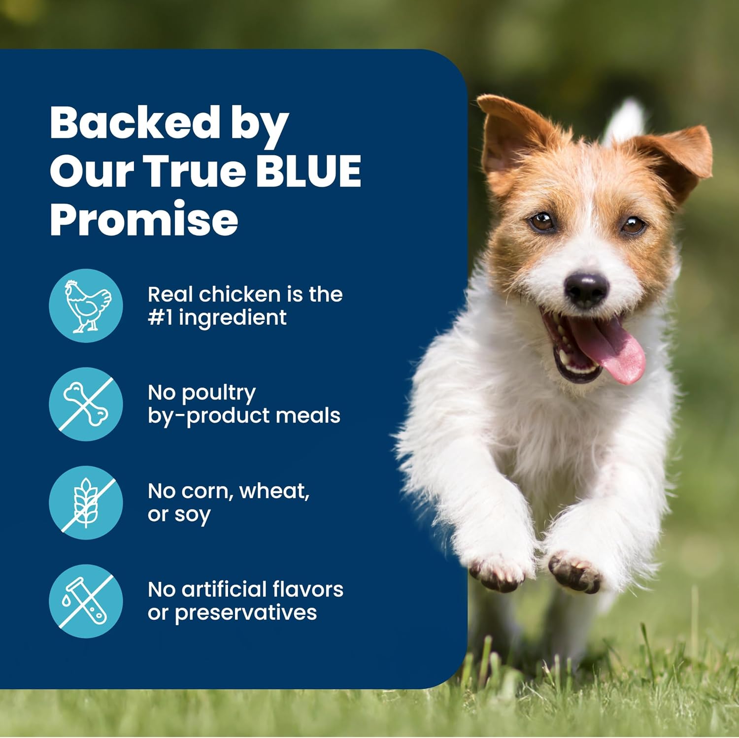 Blue Buffalo Life Protection Small Breed Adult – High-End Chicken & Brown Rice Recipe Featuring Cold-Formed LifeSource Bits