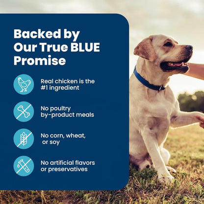 Blue Buffalo Senior Life Protection Chicken & Brown Rice – Holiday Gift for Pet Parents of Senior Pups, 6 lb