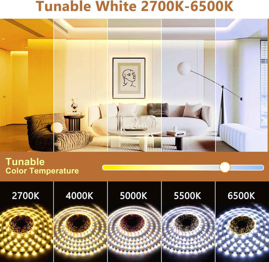 LotusLamp X 24V LED Strip Lights – Low-Heat Touchable Accent Lighting Safe for Kids and Pets, 100ft