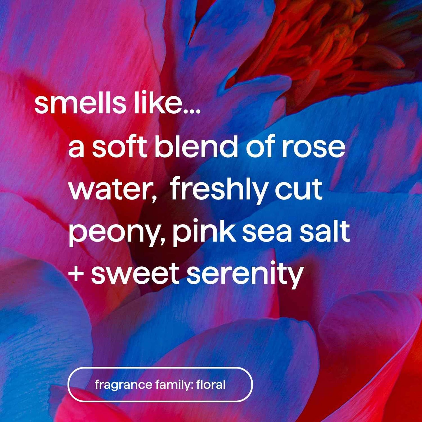 Method Simply Nourish Conditioner – Thoughtful Birthday Gift for Her, Clean-Beauty Shower Staple