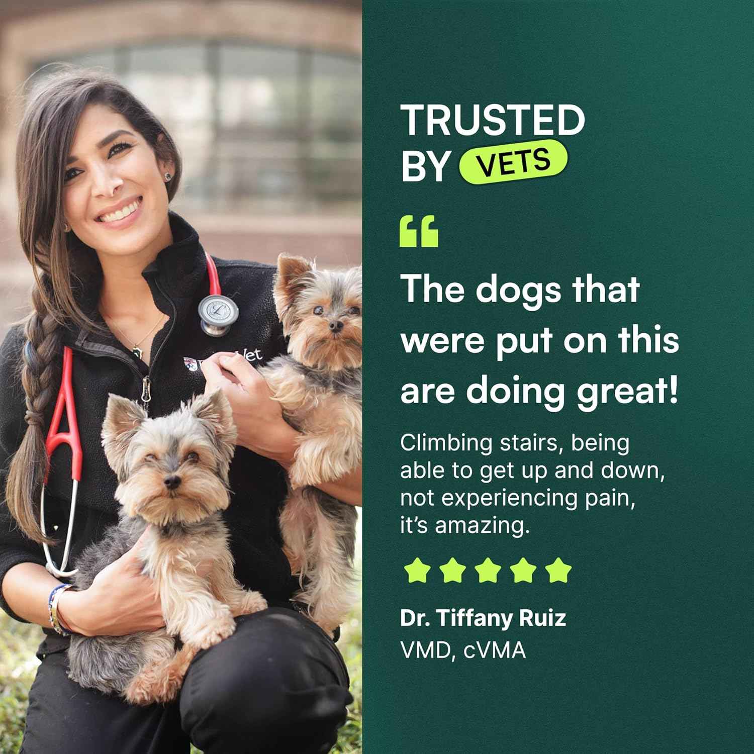 Hip and Joint Chews for Large Dogs – Daily Wellness Ritual for Senior Mobility Support
