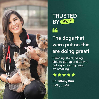 Hip and Joint Chews for Large Dogs – Daily Wellness Ritual for Senior Mobility Support