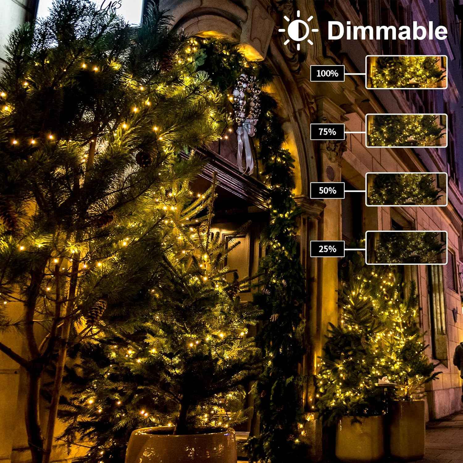 echosari LED String Lights Set – Birthday Gift for Mom and Women with Dimmable Warm White Glow