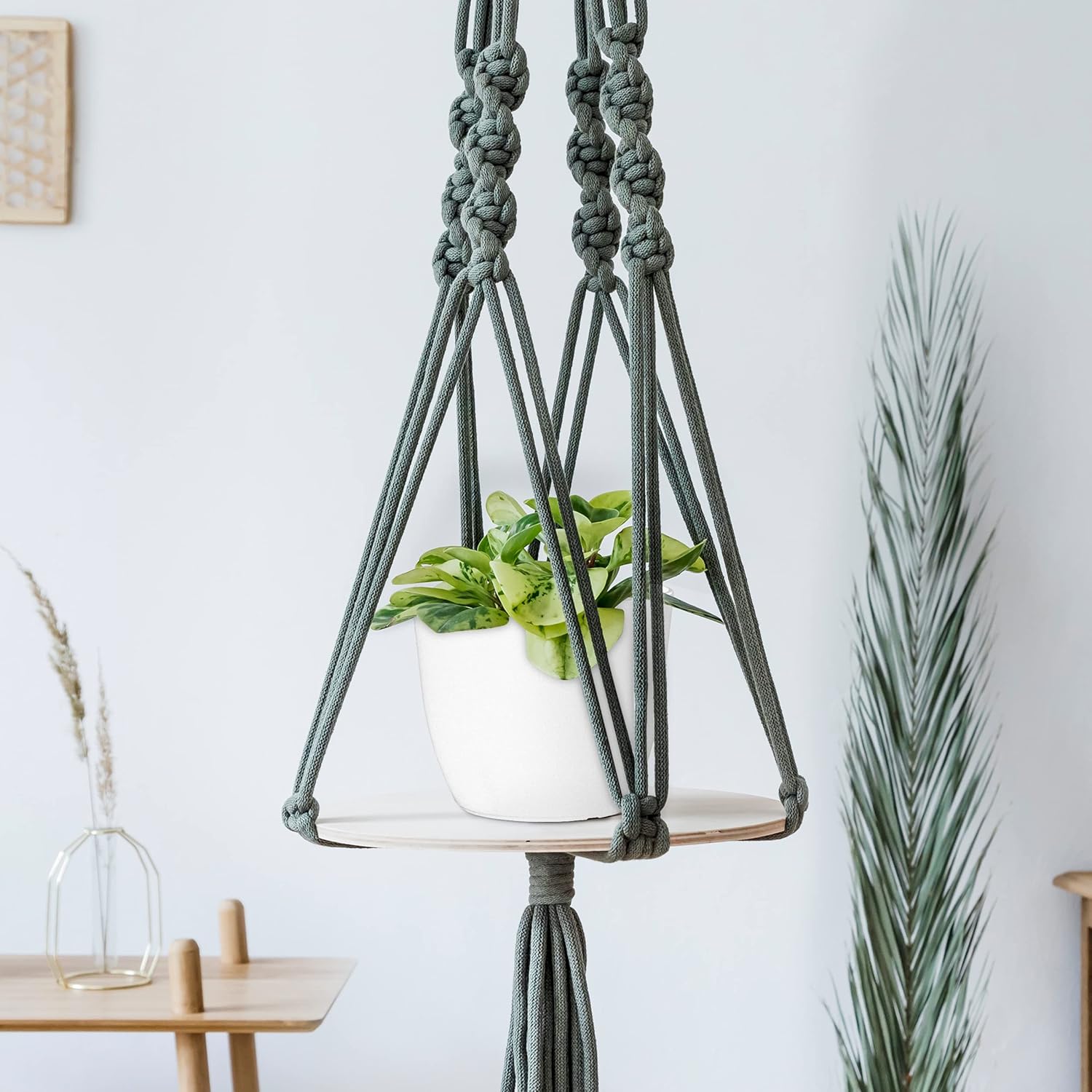 Utopia_Home_-_Plant_Pots_Indoor_with_Drainage_-_7/6.6/6/5.3/4.8_Inches_Flower_Pots_for_Indoor_Planter_-_5_Pack_Plastic_Planters_-_Ideal_for_Stocking_Stuffers_or_Home_Christmas_Decorations