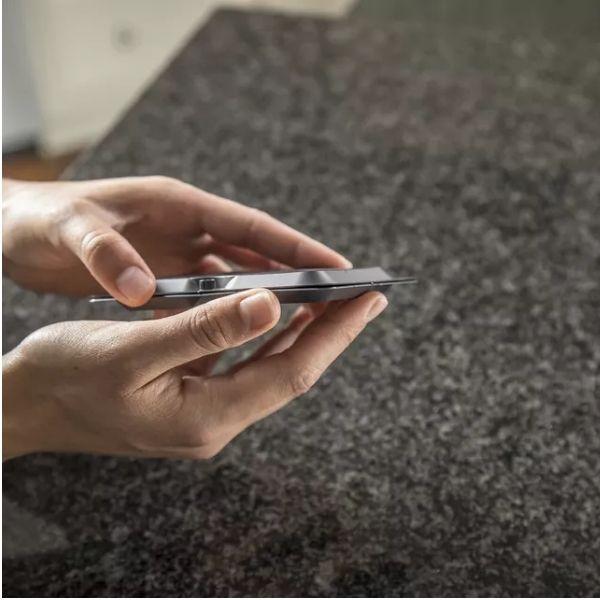 Tomcat_Mouse_Glue_Trap_W/Eugenol_-_8_Pack_Rat