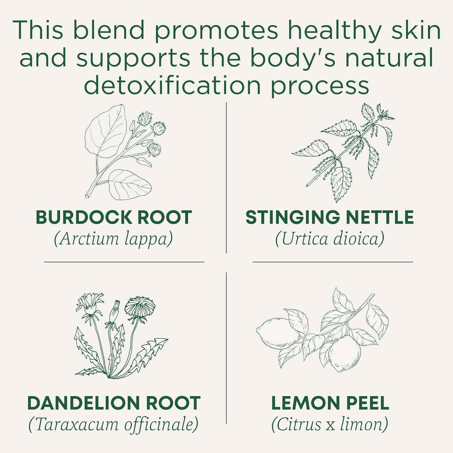 Traditional Medicinals Organic Everyday Detox Lemon Tea – Clean Pantry Staple for a Less-Is-More Kitchen, 16 Bags