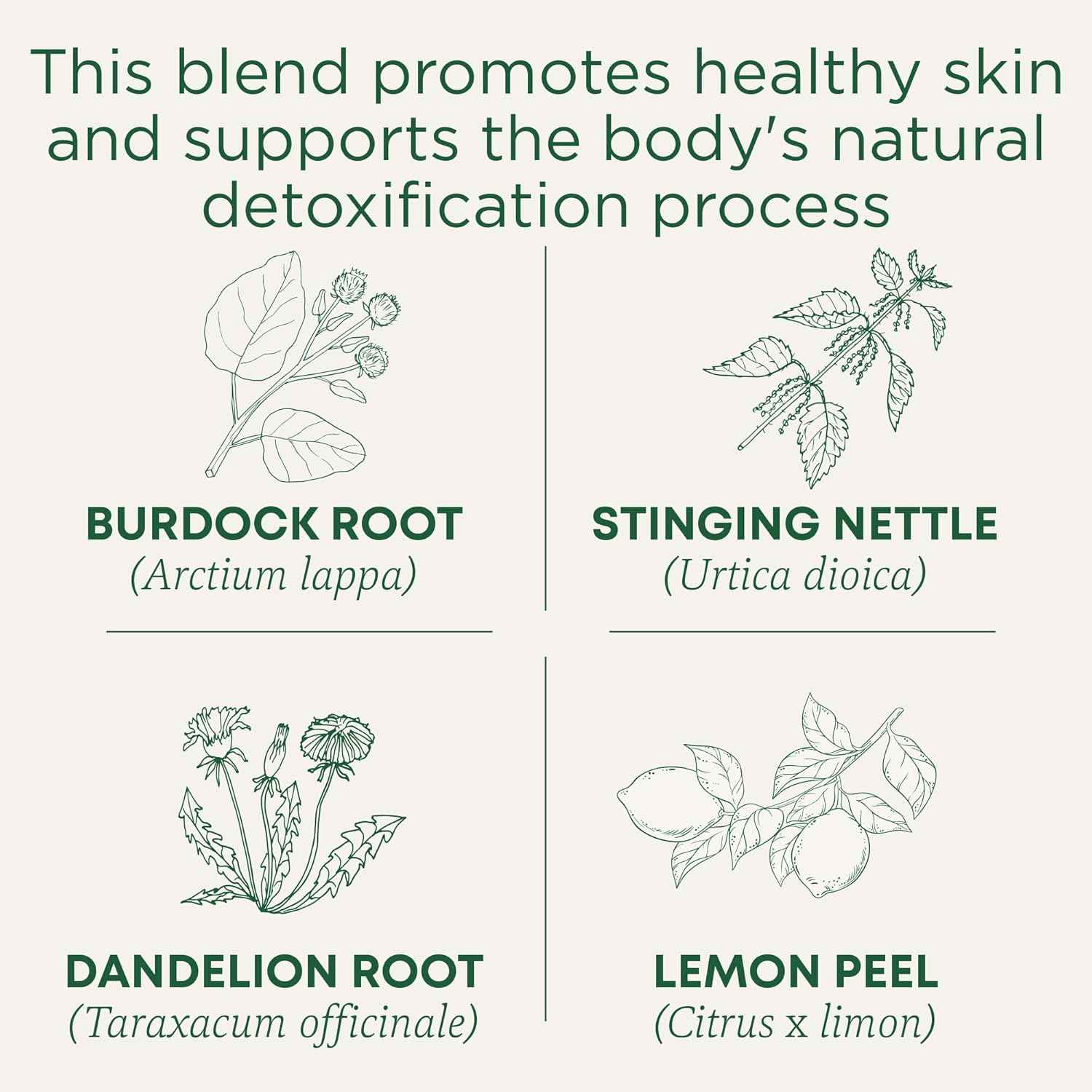 Traditional Medicinals Organic Everyday Detox Lemon Tea – Clean Pantry Staple for a Less-Is-More Kitchen, 16 Bags