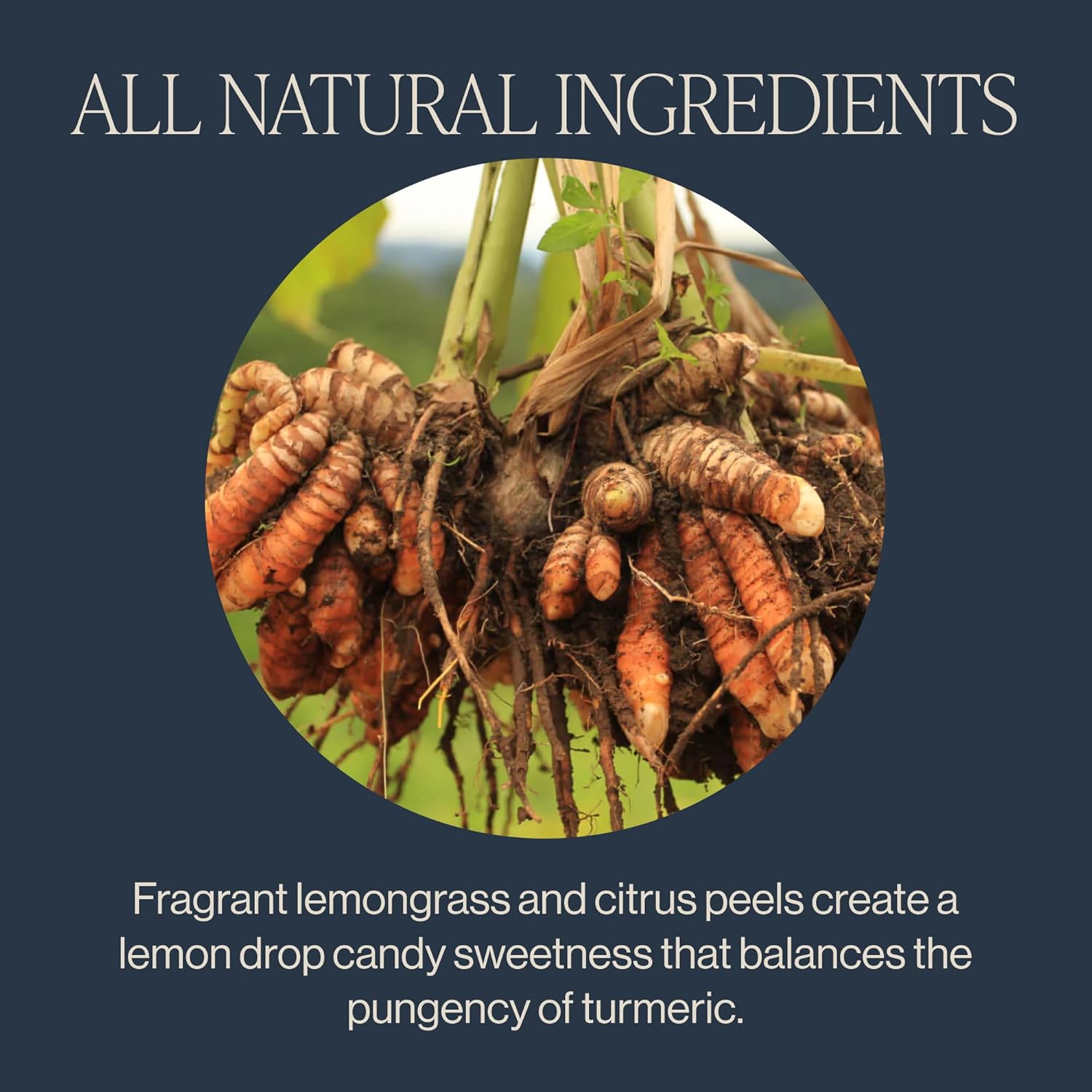 caffeine-free, gluten-free, and dairy-free formula