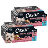 Cesar Classic Loaf in Sauce – No-Mess Peel Tray Wet Food for Road Trips, Hotels and Camping with Small Dogs, 6 Flavor Variety