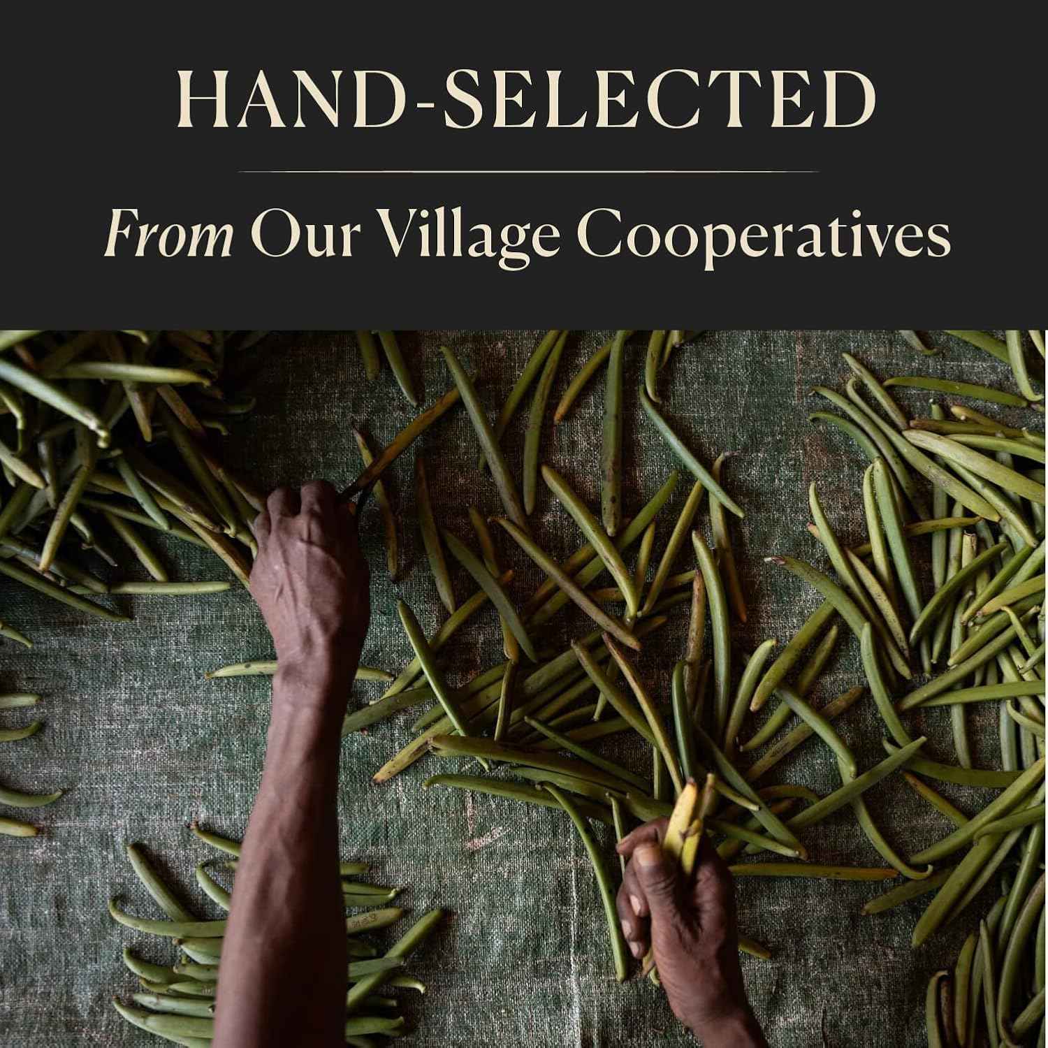 Cook's Madagascar Vanilla Bean Pods – Bulk 10-Pack for Frequent Bakers and DIY Extract Makers