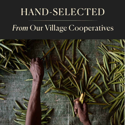Cook's Madagascar Vanilla Bean Pods – Bulk 10-Pack for Frequent Bakers and DIY Extract Makers