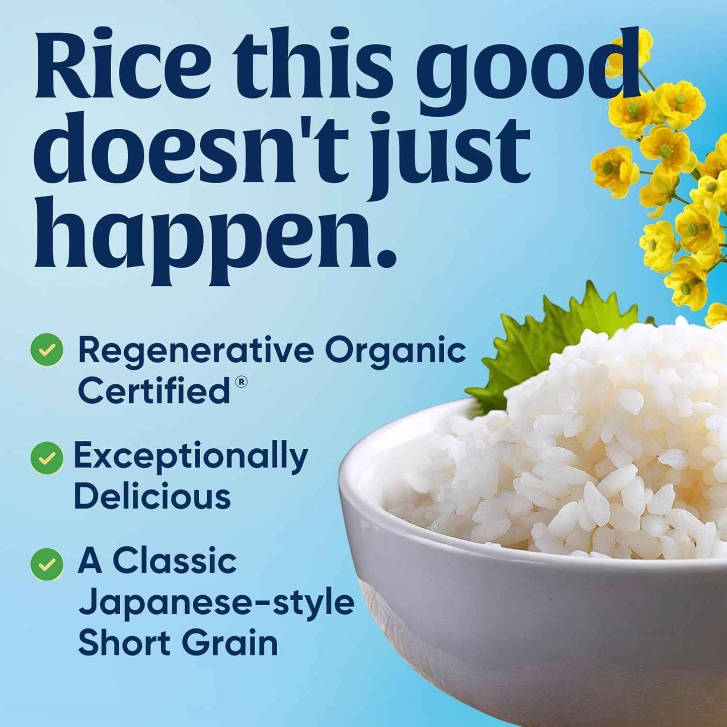 Lundberg Organic Sushi Rice – Mindful Gluten-Free Pantry Staple for Nourishing Home Meals