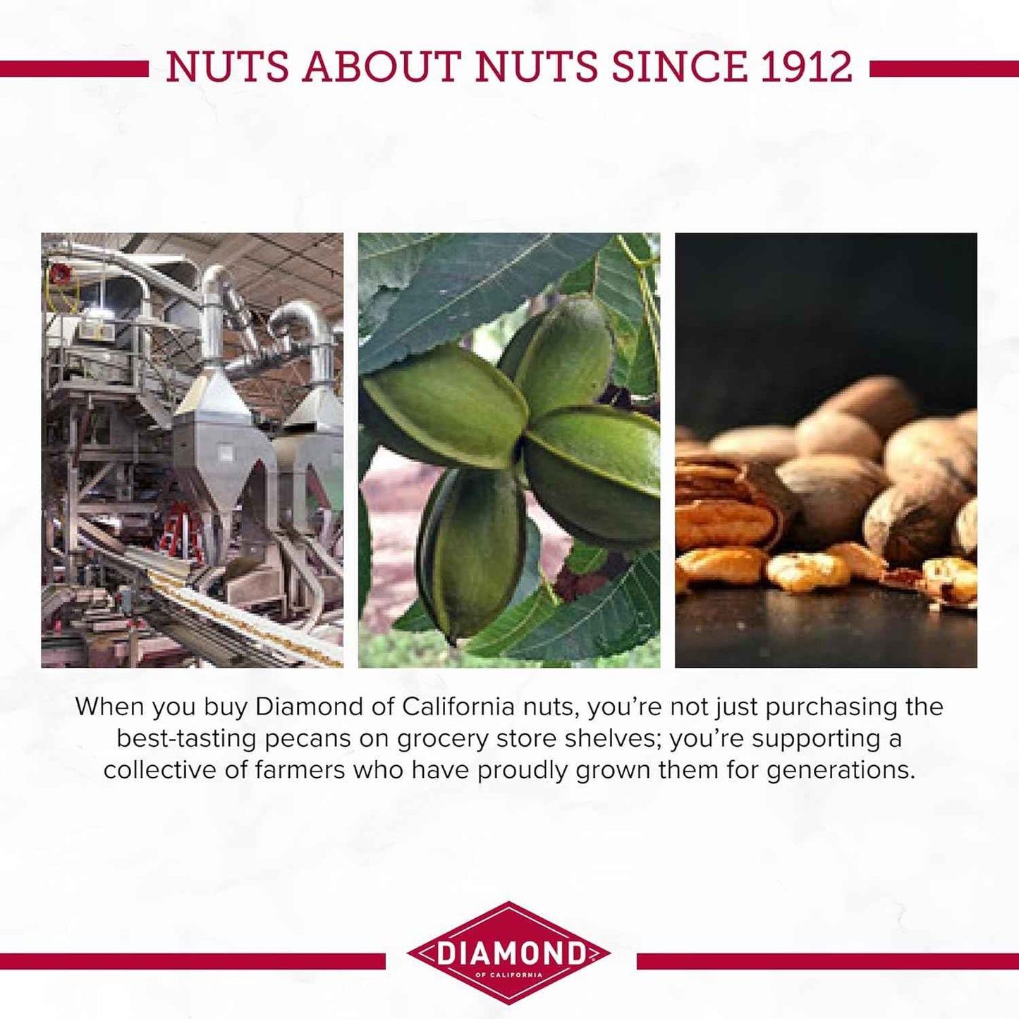 Diamond of California Chopped Pecans – Pre-Chopped Nut for DIY Trail Mix and Cooler Snacks, Portable Pantry Item for Car Camping