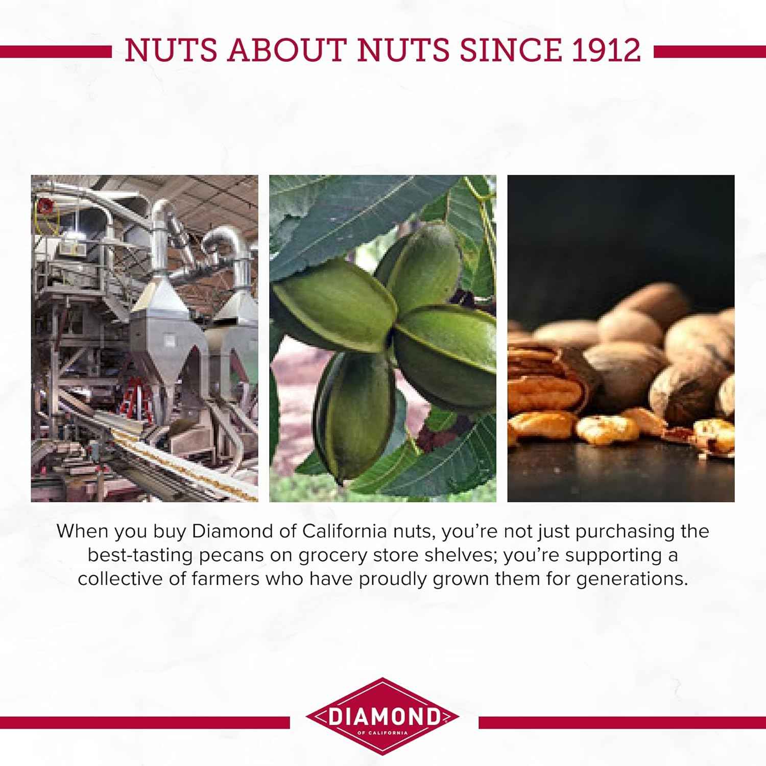Diamond of California Chopped Pecans – Pre-Chopped Nut for DIY Trail Mix and Cooler Snacks, Portable Pantry Item for Car Camping