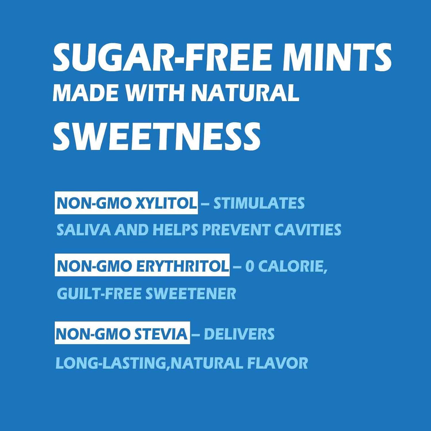 DC24 DAILY CARE Sugar Free Mints – Clean Ingredient Choice for Allergen-Sensitive Households