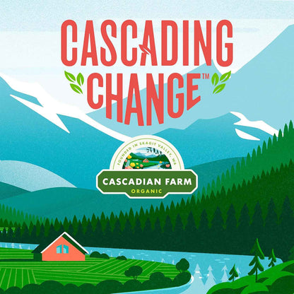 Cascadian Farm Organic Dark Chocolate Chip Granola Bars – Healthy After-School Snack for Kids Lunch Boxes, 12.3 oz Box
