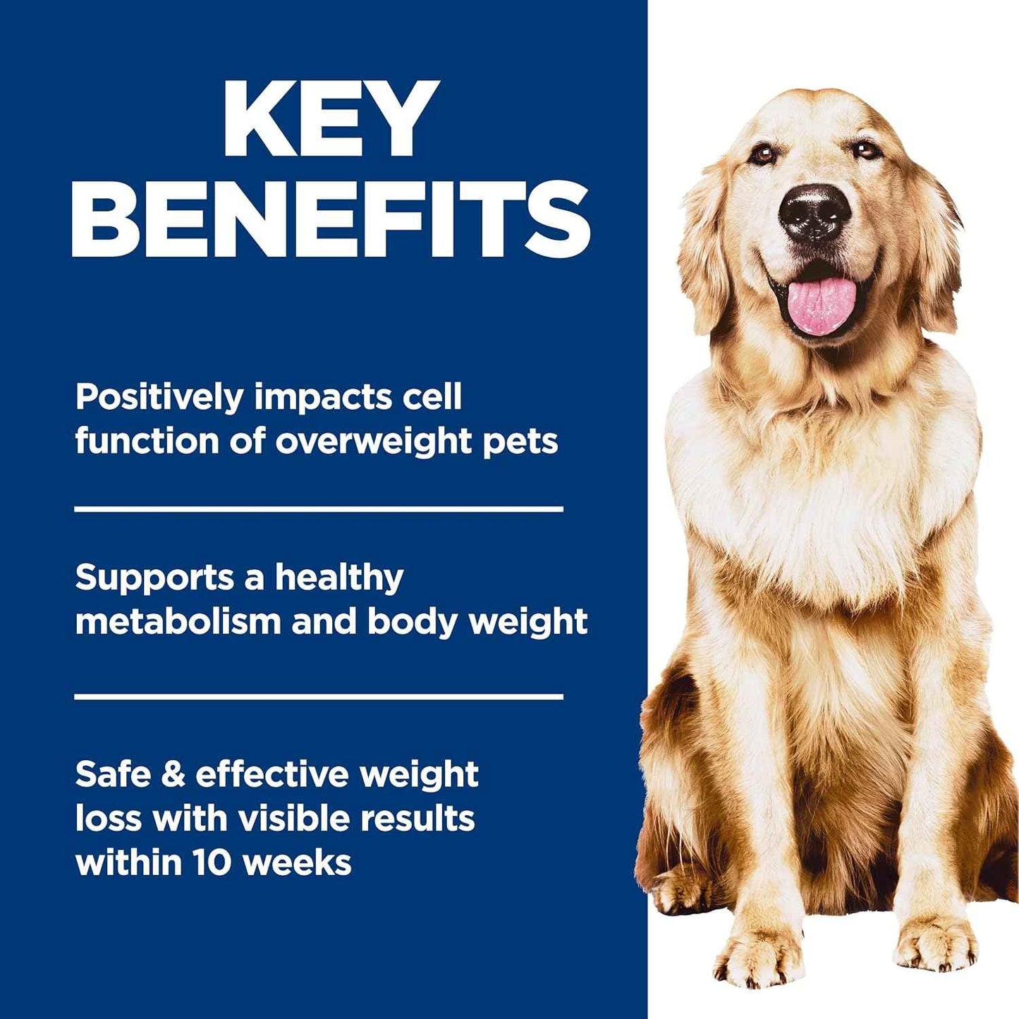 Hill's Science Diet Adult Perfect Weight Dry Dog Food, Chicken & Brown Rice, 25 lb. Bag – Practical Holiday Gift for Health-Conscious Pet Parents