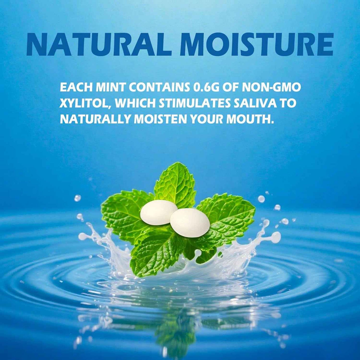 DC24 DAILY CARE Sugar Free Mints – Clean Ingredient Choice for Allergen-Sensitive Households