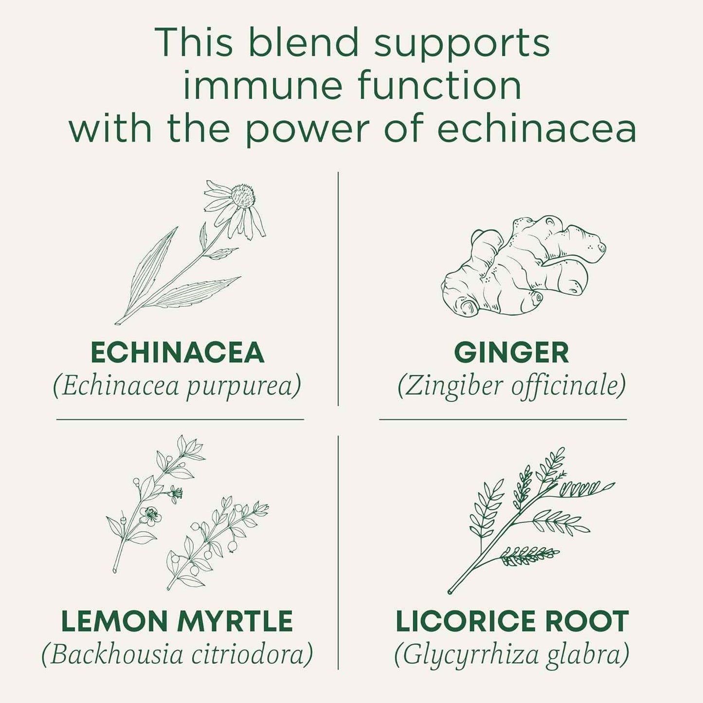 Traditional Medicinals Organic Immune Zoom Lemon Ginger Tea - Home Office Desk Tea for Caffeine-Free Afternoon Focus