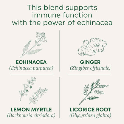 Traditional Medicinals Organic Immune Zoom Lemon Ginger Tea - Home Office Desk Tea for Caffeine-Free Afternoon Focus