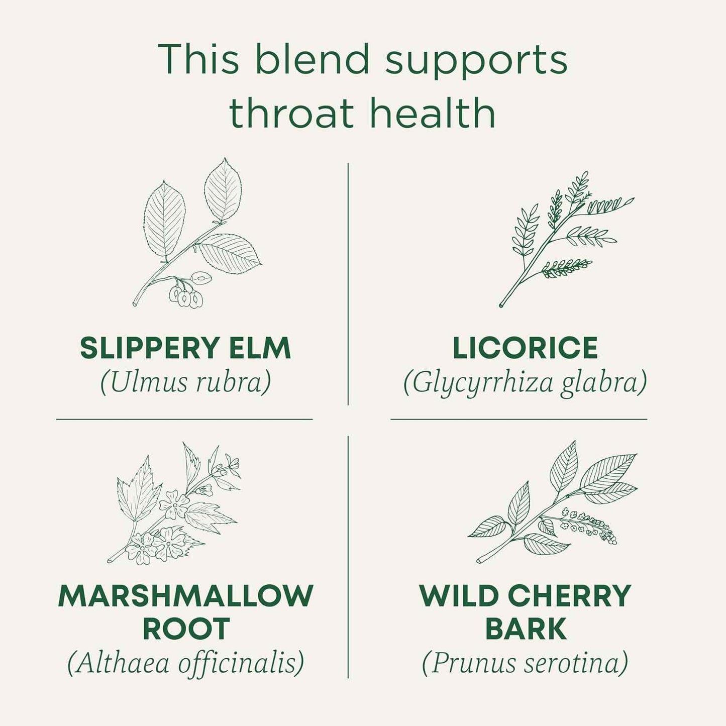 Traditional Medicinals Organic Throat Coat Tea – Focus-Ritual Herbal Brew for Long Workdays and Call Center Shifts