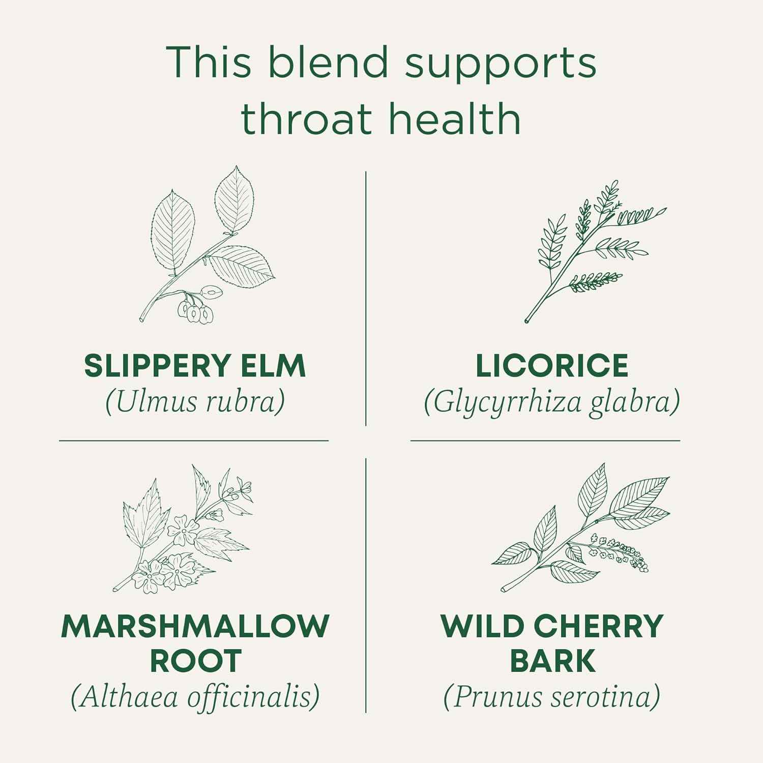Traditional Medicinals Organic Throat Coat Tea – Focus-Ritual Herbal Brew for Long Workdays and Call Center Shifts